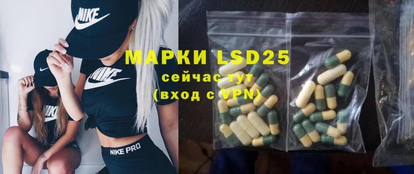 сатива Медногорск
