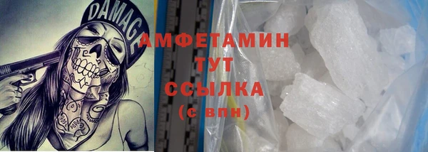 сатива Медногорск