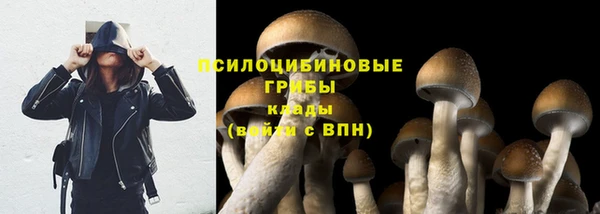 МДМА Медвежьегорск