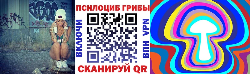 Псилоцибиновые грибы Magic Shrooms  мега tor  Онега 